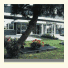 Hotel Alga photo
