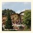 Hotel Alle Alpi photo