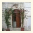 B&B Lamalfitana photo