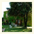 Casale a Poggiano photo