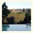 Tenuta di Corsano