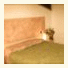 Le Camere Dell'Ancora photo