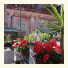 B&B Soriano44 photo