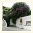 Residenza Le Rose Villa D'Arte photo