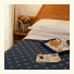 Ostia Antica Park Hotel & Spa photo