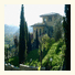 Villa La Malva photo