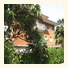 Villa Arianna photo