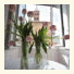 Contemporaneo Rooms photo