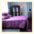 Guest House Arco Dei Tolomei photo
