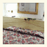 Hotel Italia photo