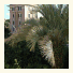 Hotel Lodi photo