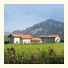 Agriturismo Maso Speron D'Oro