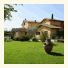 Tenuta Torciano photo