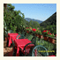 Hotel Montebaldina photo