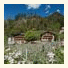 Hotel & Residence Kiendl photo