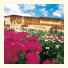 Hotel Maria Theresia photo