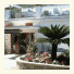 Hotel Desiree photo