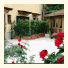 Il Roseto photo