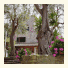 Relais Diana B&B photo