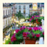 Sorrento Flats photo