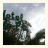 Grand Hotel La Playa