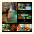 Club American Hotel Spa & Resort