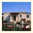 Sea & Villas photo