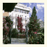 Hotel Villa Paradiso photo