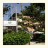 Hotel Garden photo