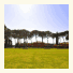 Hotel Parco La Borghesiana photo