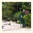 Villa Irene photo