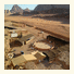 Moon Valley Tourist Camp