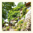 Ryokan Yamato photo