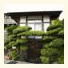 Kamakura Guest House