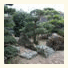 Kagyokuin
