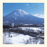 The Green Leaf, Niseko Village photo