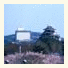 Okayama International Hotel photo