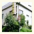 Imazato Ryokan