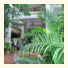 Alibi Guesthouse