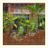 Angkor Wonder Hotel photo