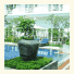 Frangipani Villa Hotel - Siem Reap photo