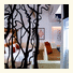 Hotel Be Angkor photo
