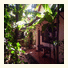 The Villa Siem Reap photo