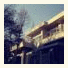Big Tree House Hostel Seoul photo