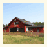 Love Island Guesthouse photo