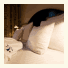 Hotel Parc Belair