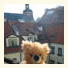 Teddy Bear Hostel Riga photo