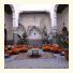Riad Tayba