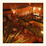 Riad Étoile du Sud et Spa photo