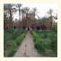 Riad Tagmadarte Ferme d'Hôte